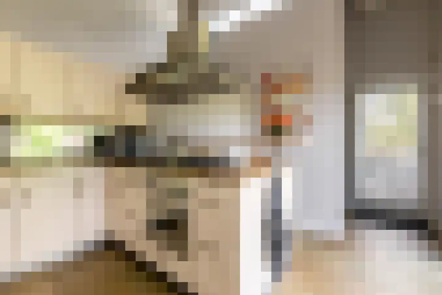 Zuider IJsseldijk 12 Gouda thumbnail 17
