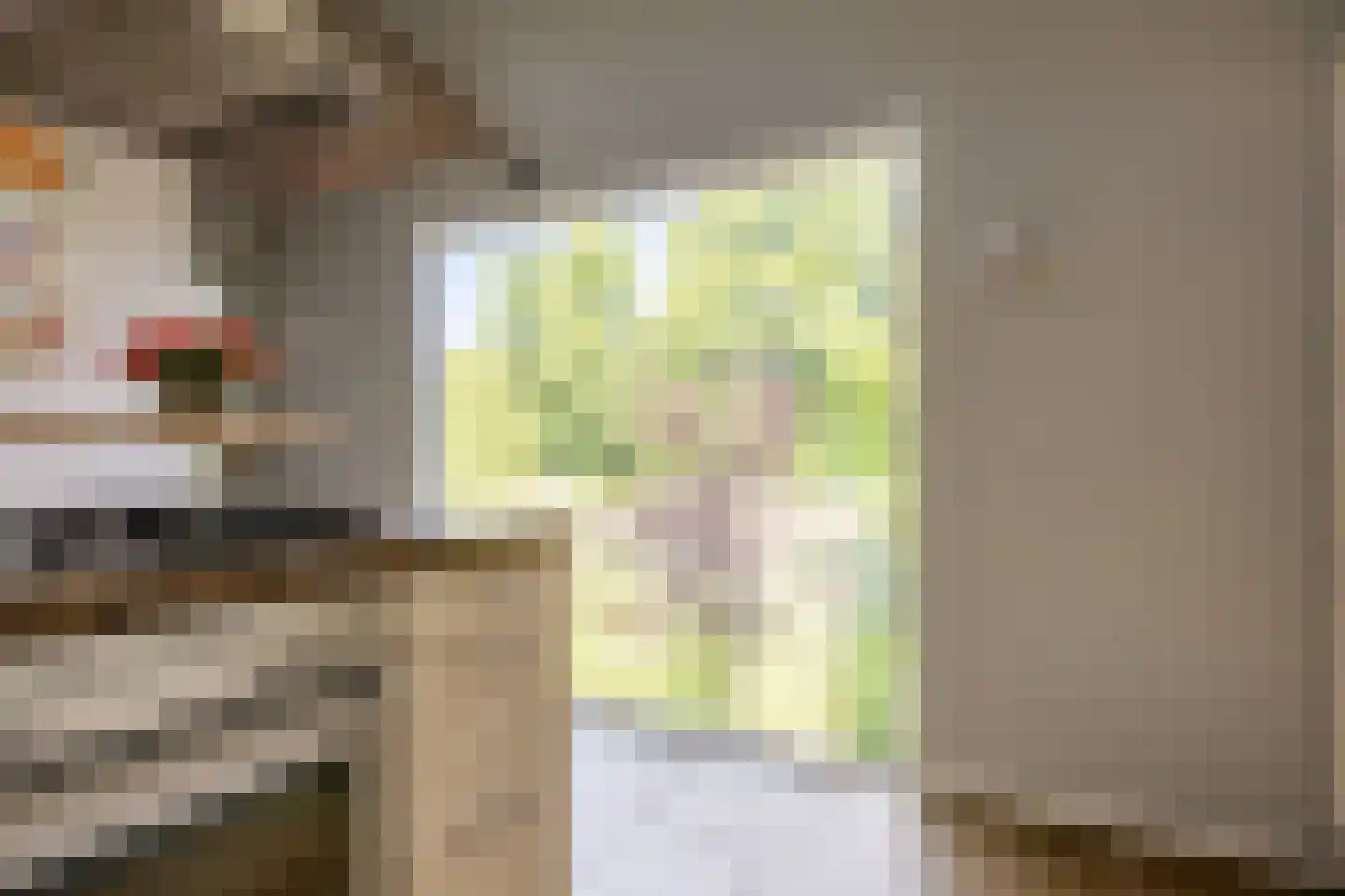 Zuider IJsseldijk 12 Gouda thumbnail 18