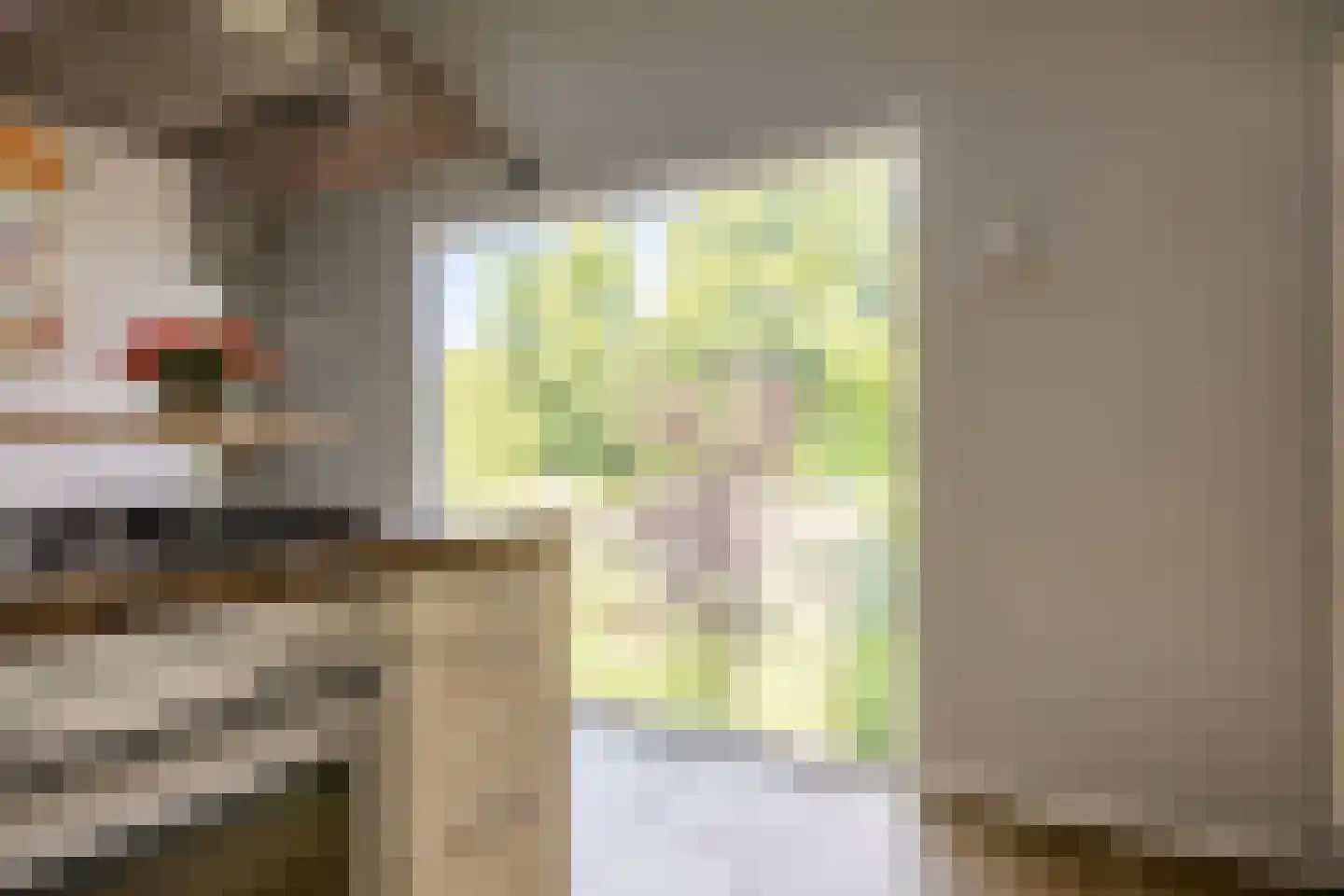 Zuider IJsseldijk 12 Gouda thumbnail 21