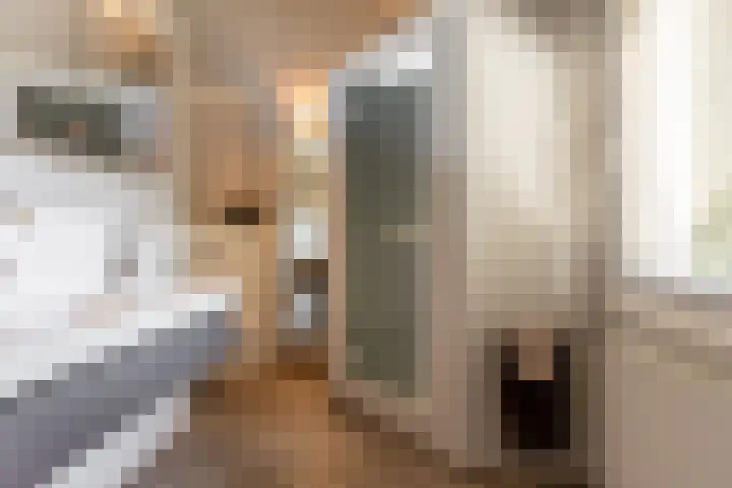 Zuider IJsseldijk 12 Gouda thumbnail 22