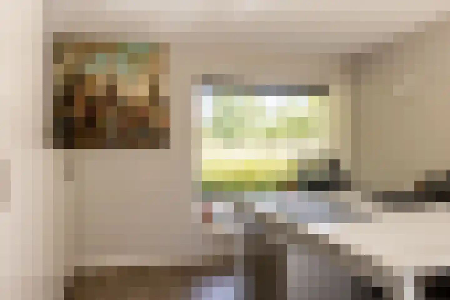 Zuider IJsseldijk 12 Gouda thumbnail 38