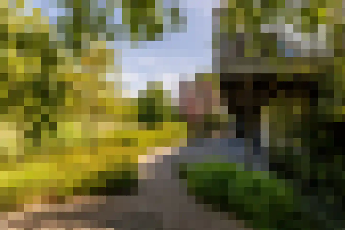 Zuider IJsseldijk 12 Gouda thumbnail 51