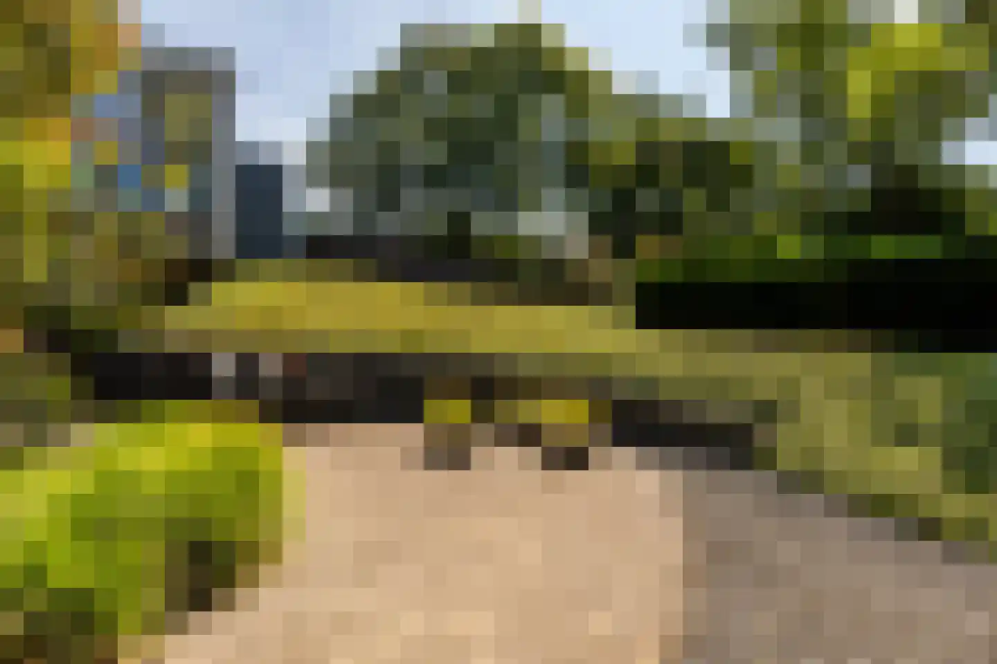 Zuider IJsseldijk 12 Gouda thumbnail 53