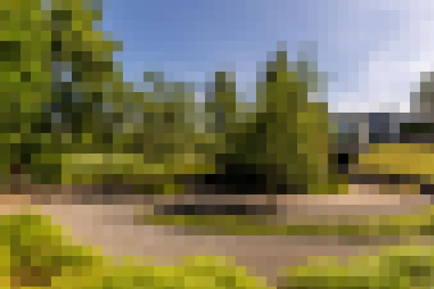 Zuider IJsseldijk 12 Gouda thumbnail 59