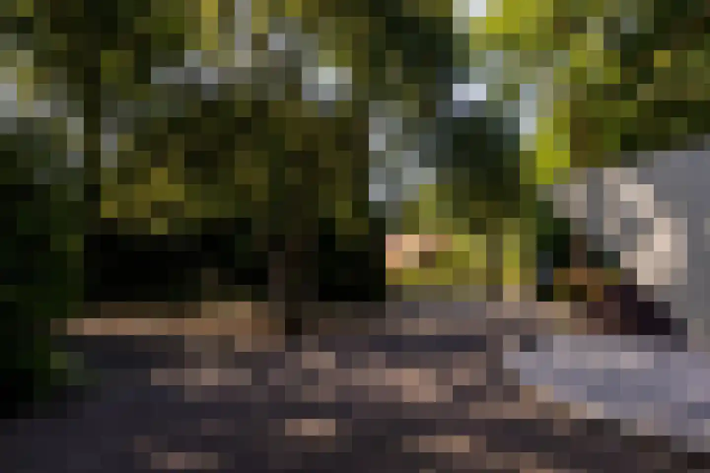 Zuider IJsseldijk 12 Gouda thumbnail 63