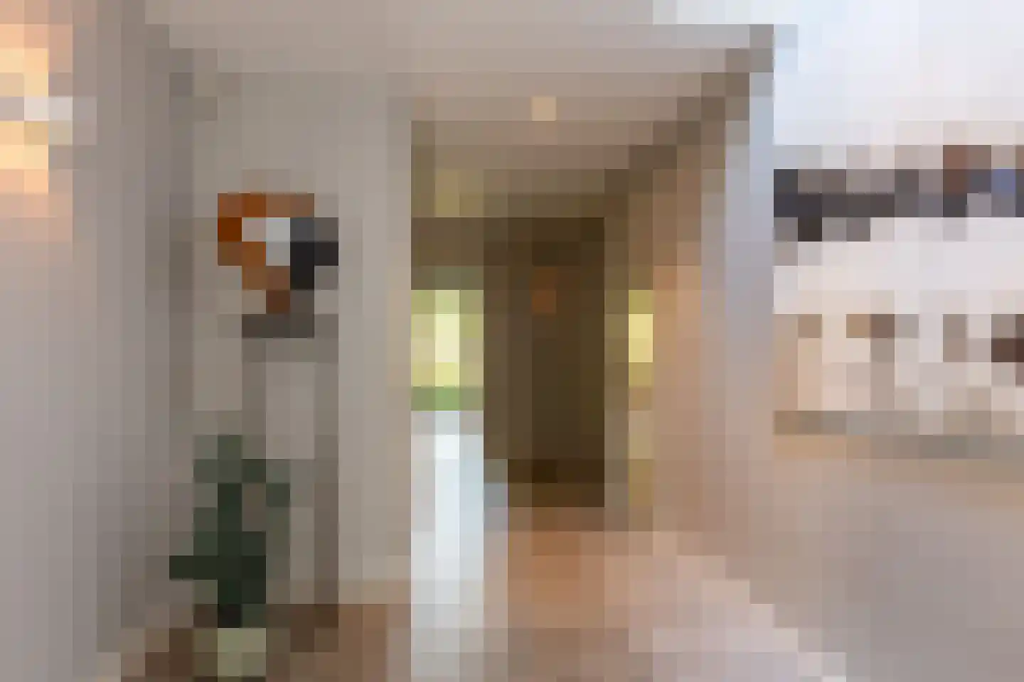 Zuider IJsseldijk 12 Gouda thumbnail 7