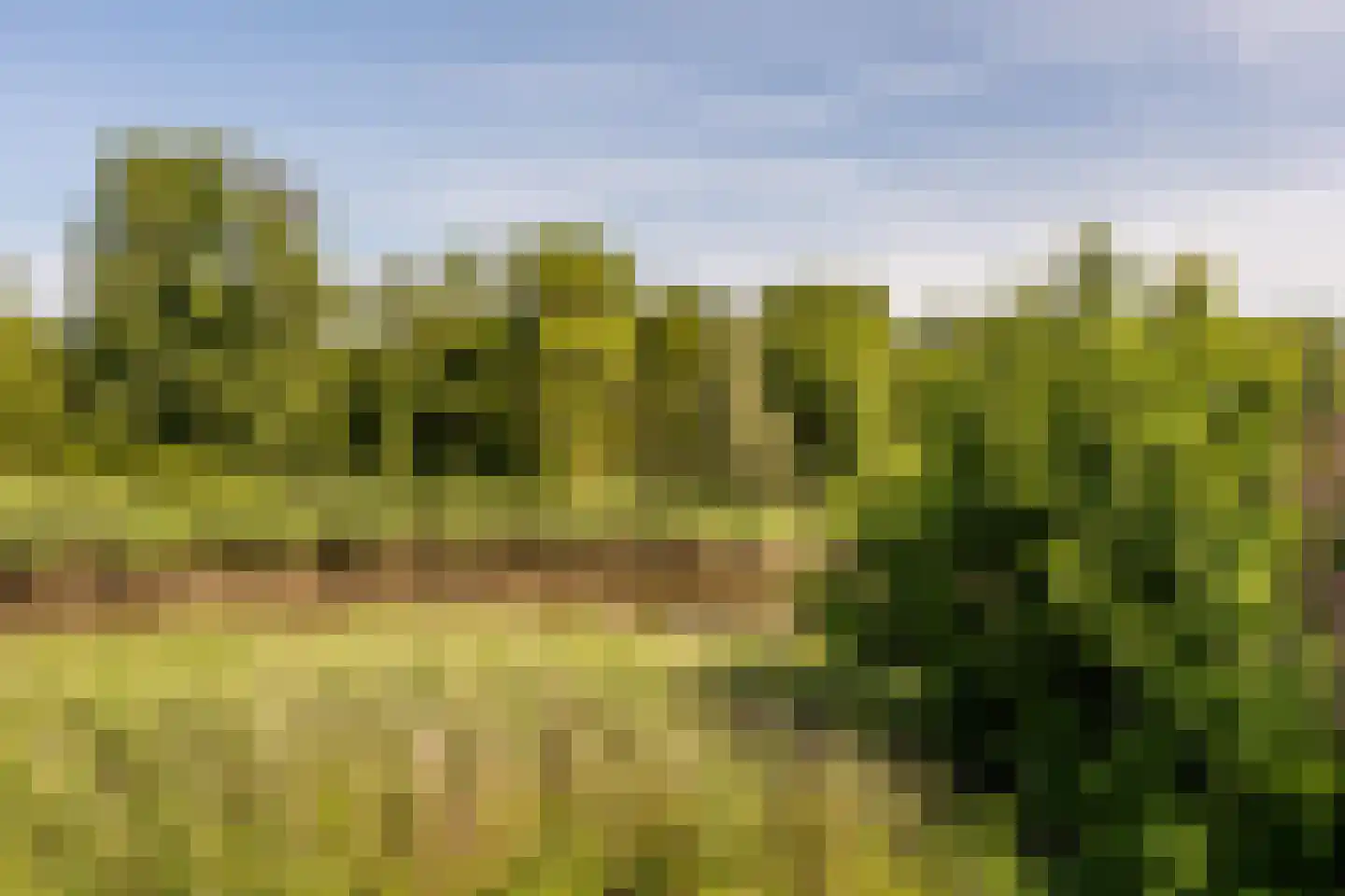 Zuider IJsseldijk 12 Gouda thumbnail 72