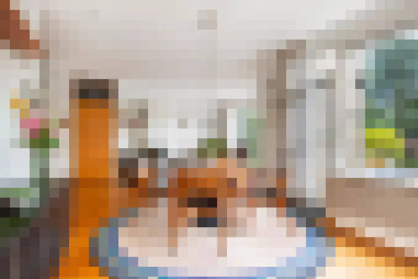 Zuider IJsseldijk 30 Gouda thumbnail 10
