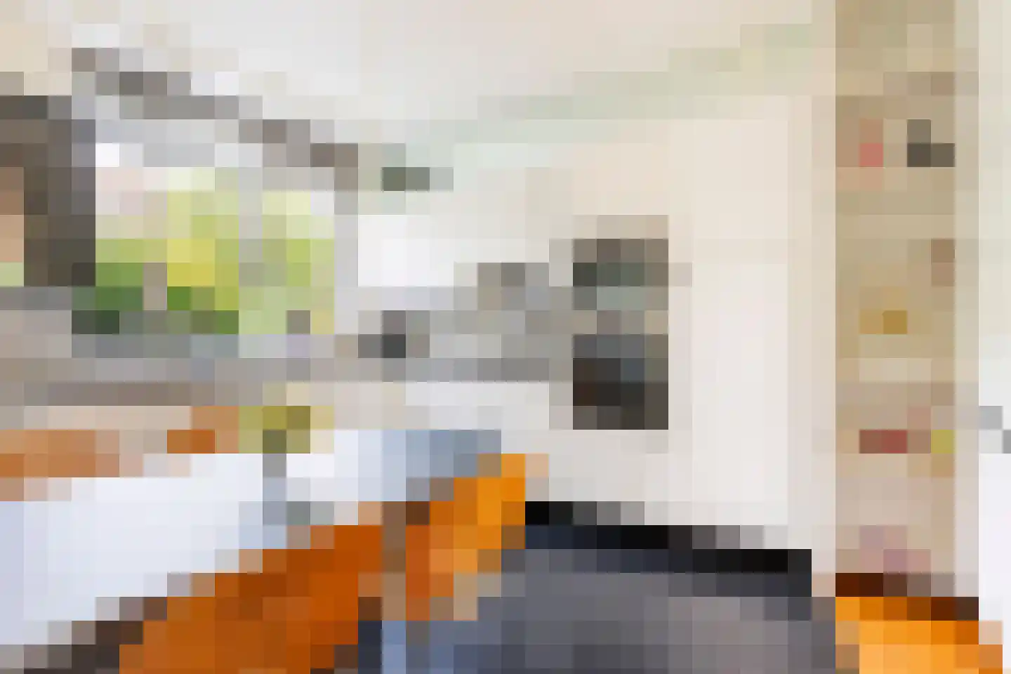 Zuider IJsseldijk 30 Gouda thumbnail 18