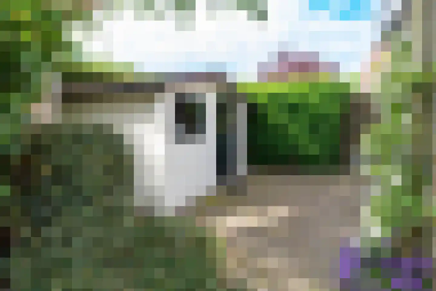 Zuider IJsseldijk 30 Gouda thumbnail 28