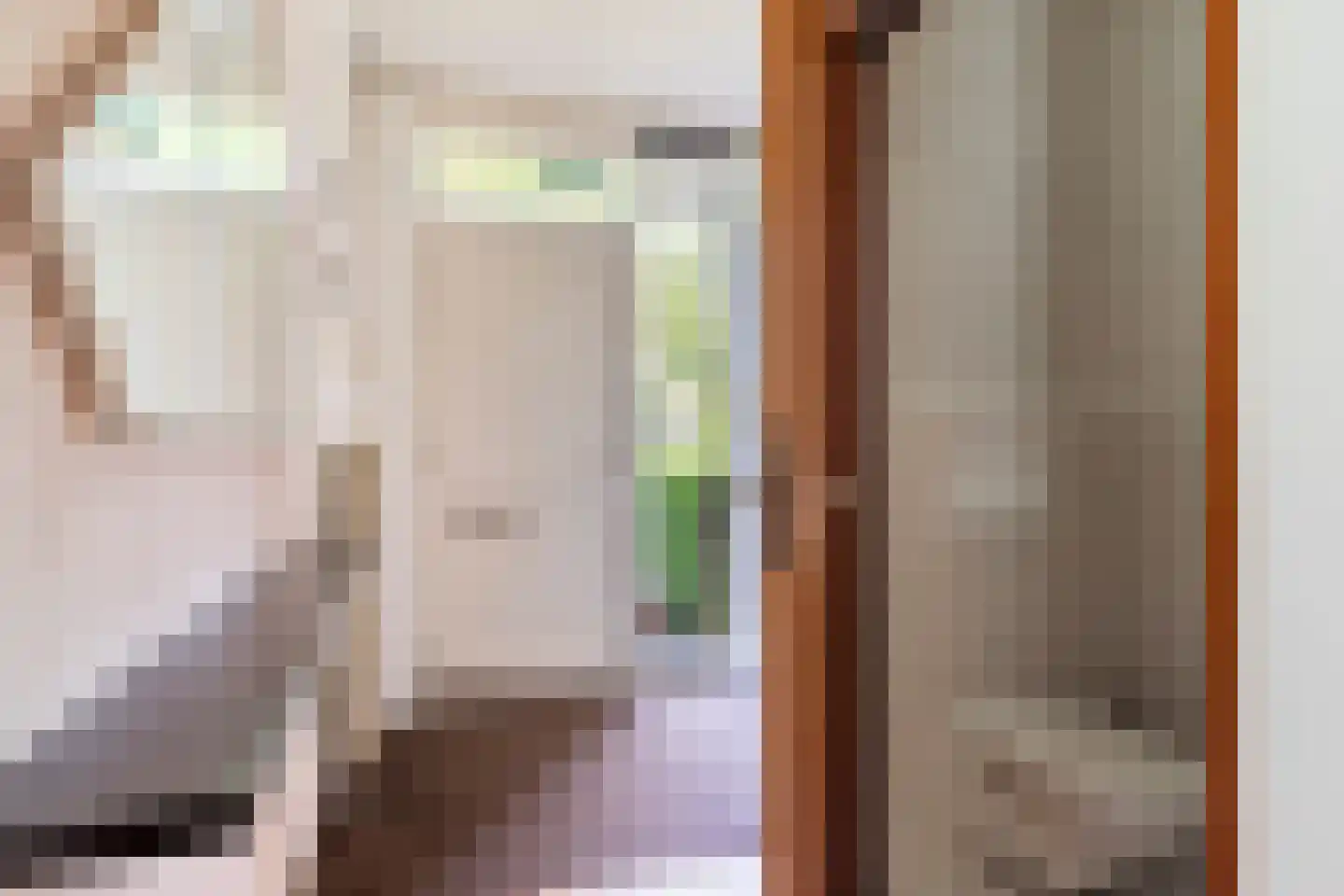 Zuider IJsseldijk 30 Gouda thumbnail 32