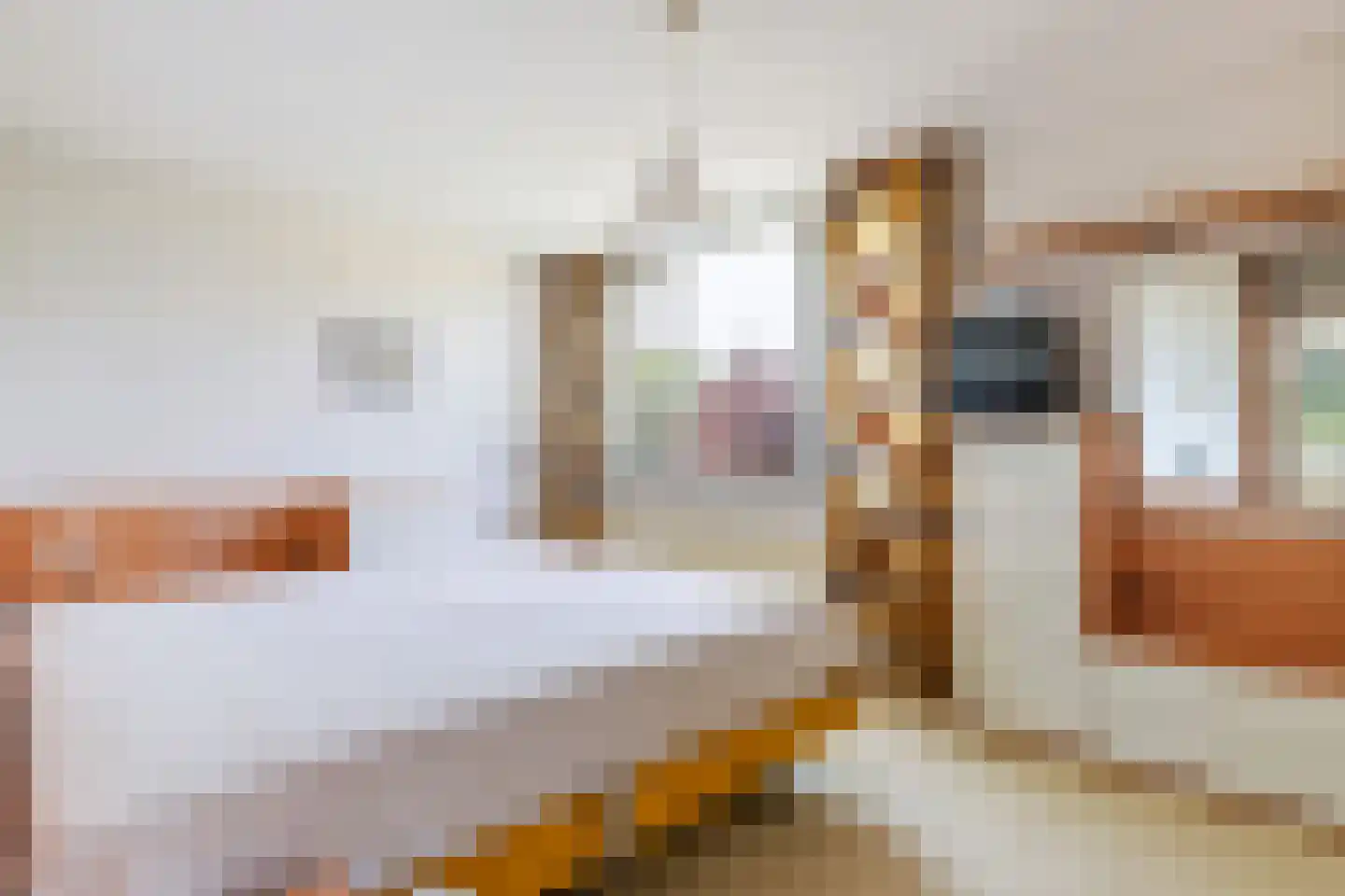 Zuider IJsseldijk 30 Gouda thumbnail 34