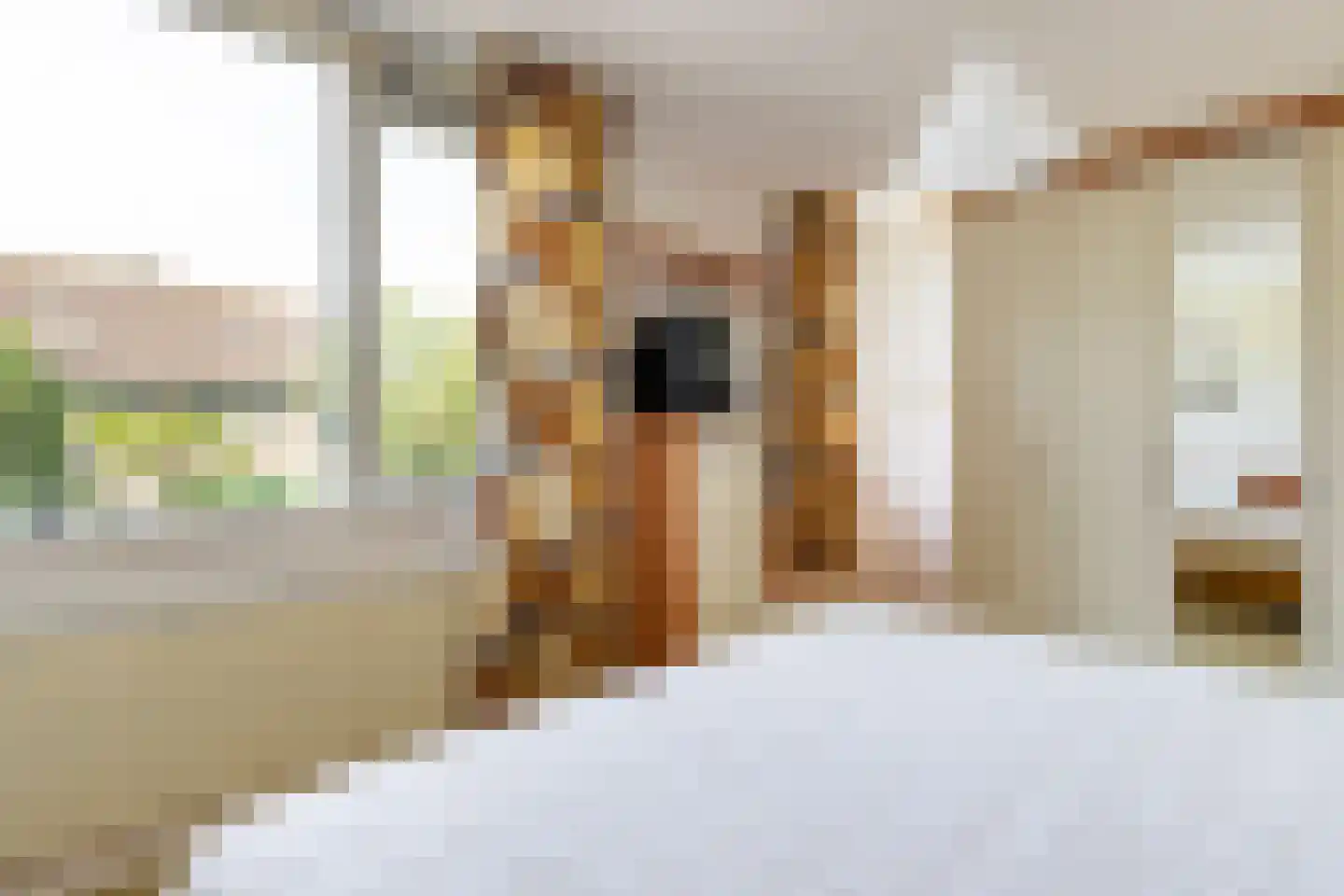 Zuider IJsseldijk 30 Gouda thumbnail 36