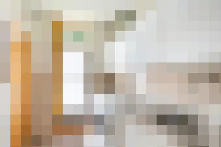 Zuider IJsseldijk 36 Gouda thumbnail 20