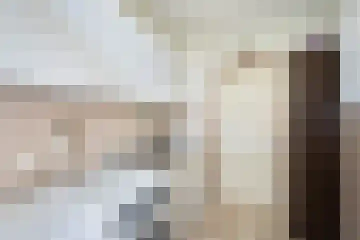 Zuider IJsseldijk 36 Gouda thumbnail 21