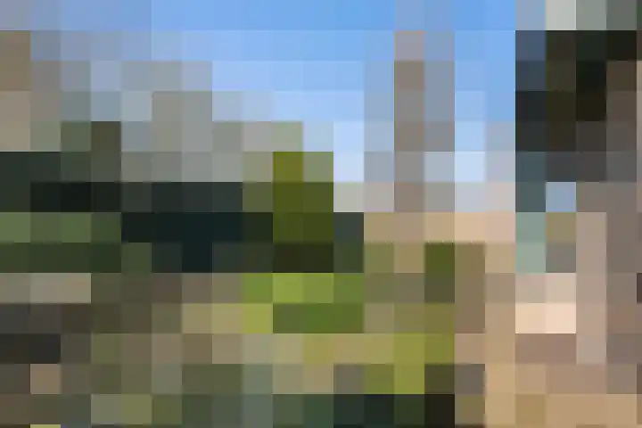 Zuider IJsseldijk 36 Gouda thumbnail 24