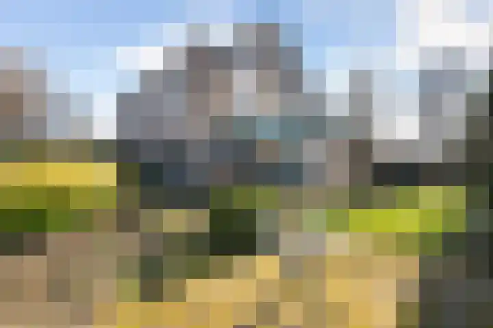 Zuider IJsseldijk 36 Gouda thumbnail 28