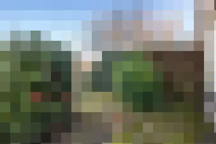 Zuider IJsseldijk 36 Gouda thumbnail 30