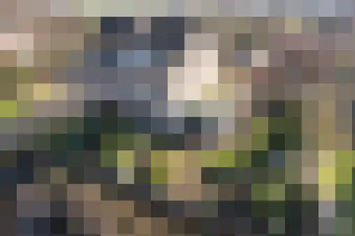 Zuider IJsseldijk 36 Gouda thumbnail 33