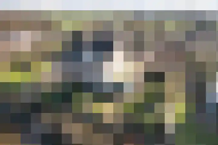 Zuider IJsseldijk 36 Gouda thumbnail 34