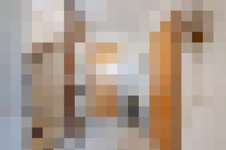 Zuider IJsseldijk 36 Gouda thumbnail 37