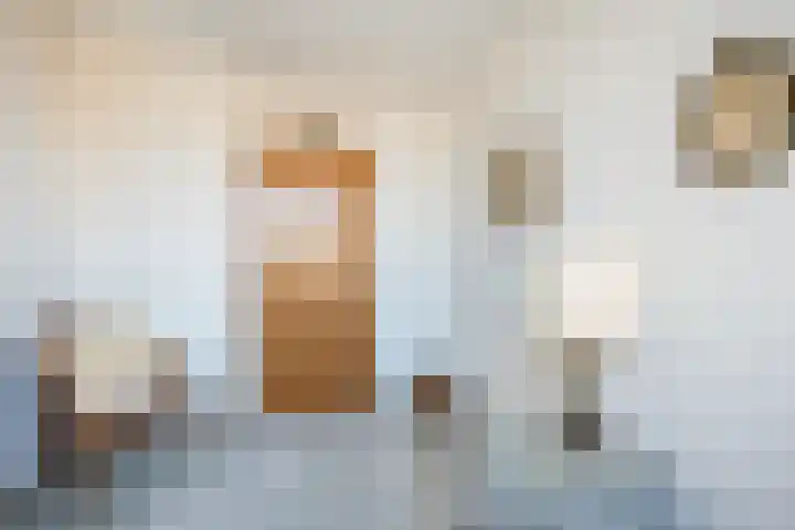 Zuider IJsseldijk 36 Gouda thumbnail 39