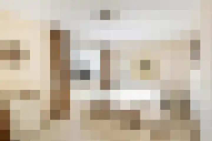 Zuider IJsseldijk 36 Gouda thumbnail 43