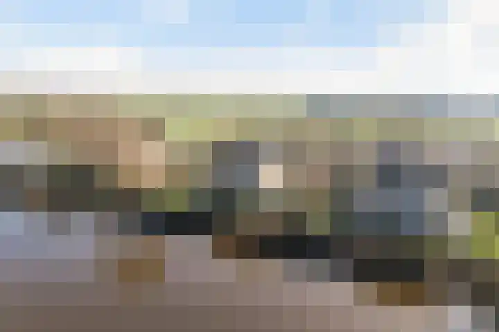 Zuider IJsseldijk 36 Gouda thumbnail 5