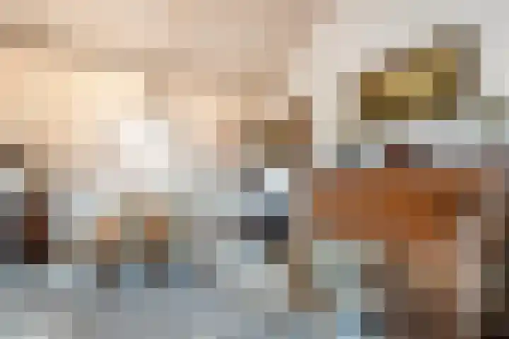 Zuider IJsseldijk 36 Gouda thumbnail 53