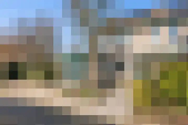 Zuider IJsseldijk 36 Gouda thumbnail 58