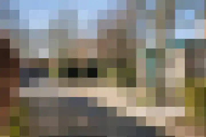 Zuider IJsseldijk 36 Gouda thumbnail 61