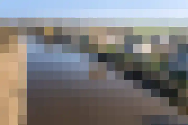 Zuider IJsseldijk 36 Gouda thumbnail 69