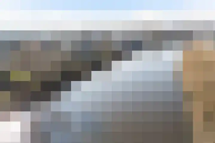 Zuider IJsseldijk 36 Gouda thumbnail 70