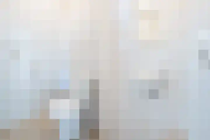 Zuider IJsseldijk 36 Gouda thumbnail 8