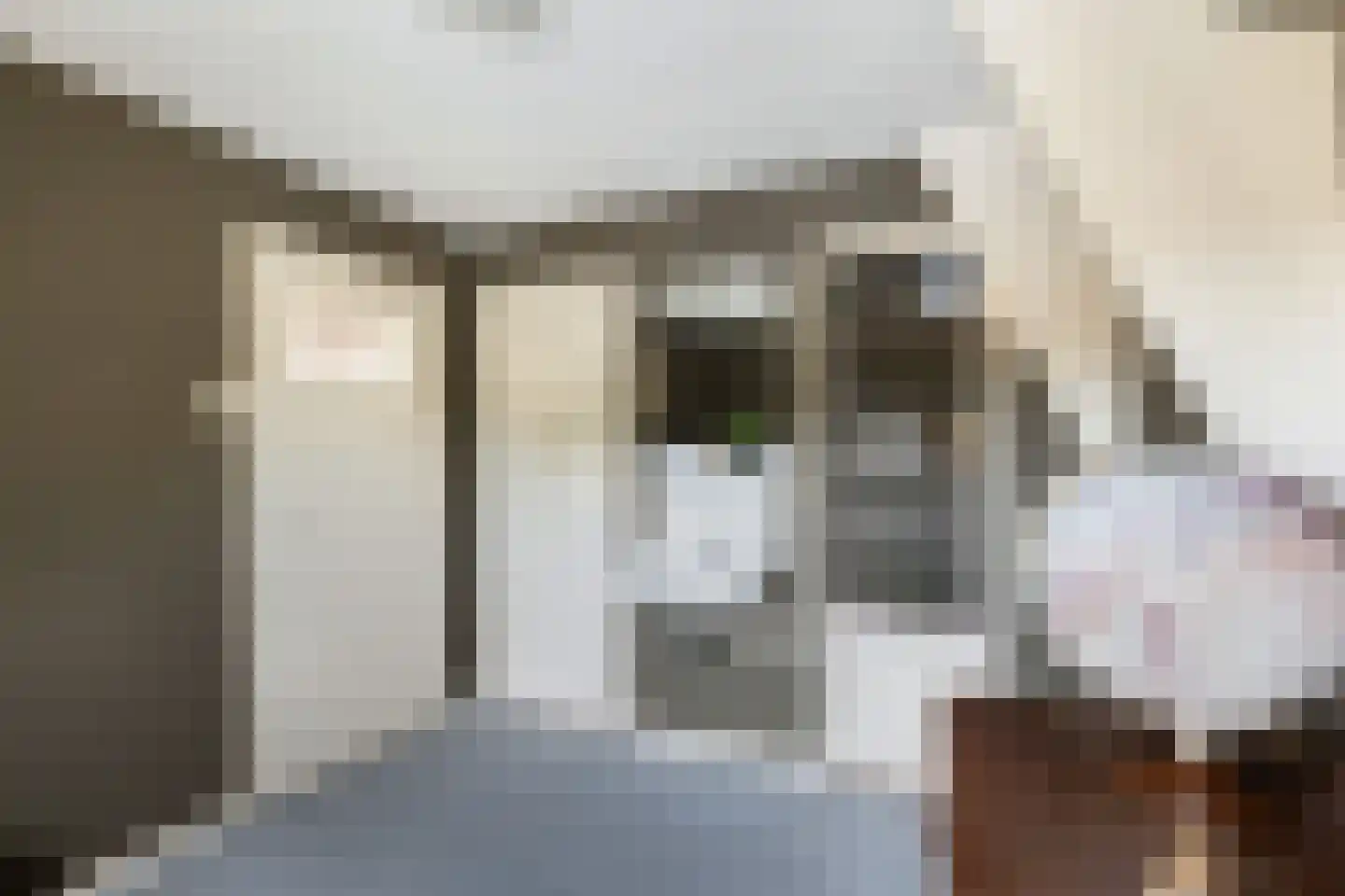 Zuider IJsseldijk 6 Gouda thumbnail 16