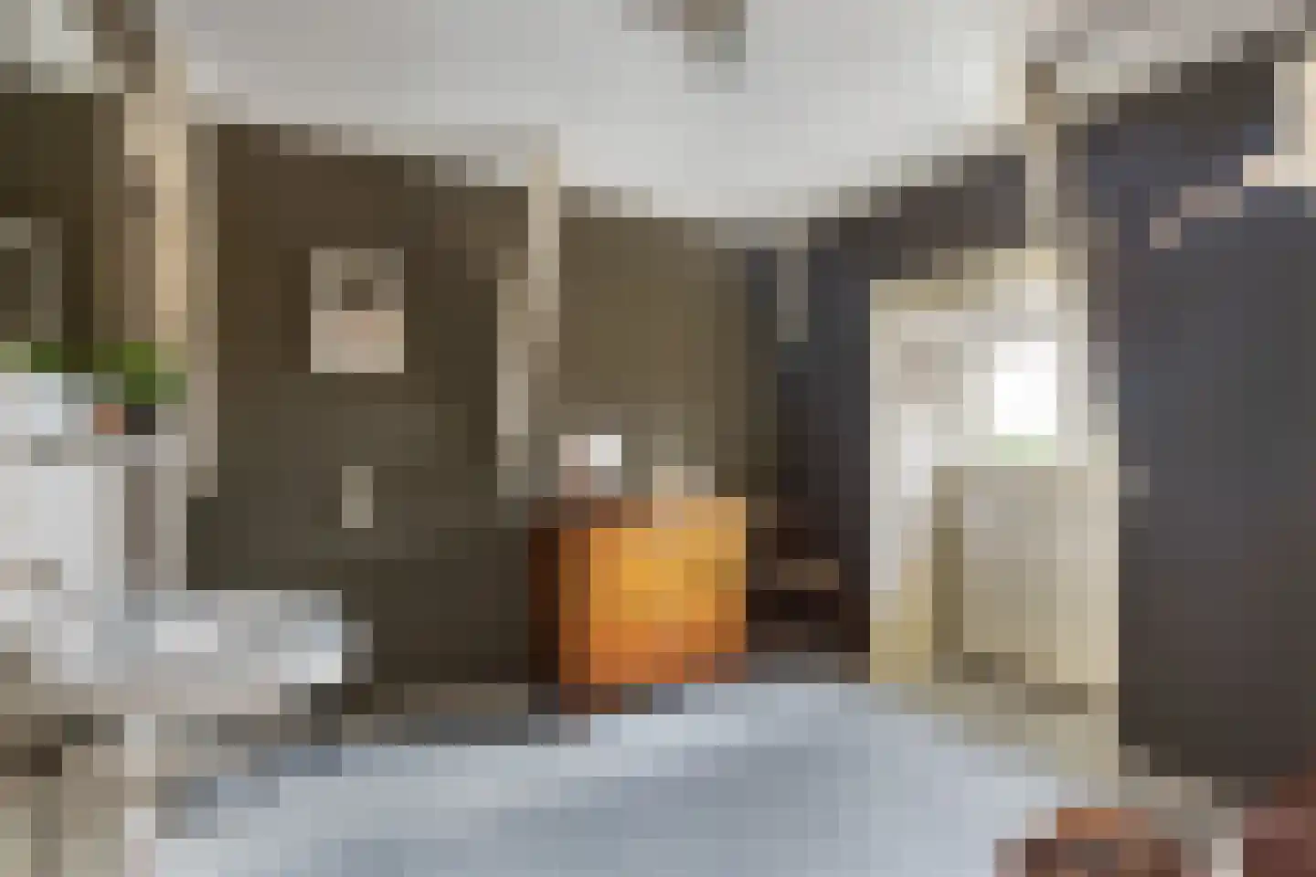 Zuider IJsseldijk 6 Gouda thumbnail 17