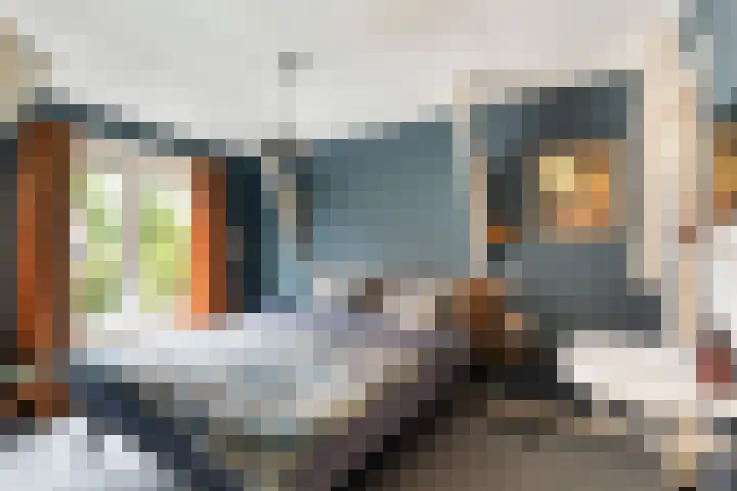 Zuider IJsseldijk 6 Gouda thumbnail 18