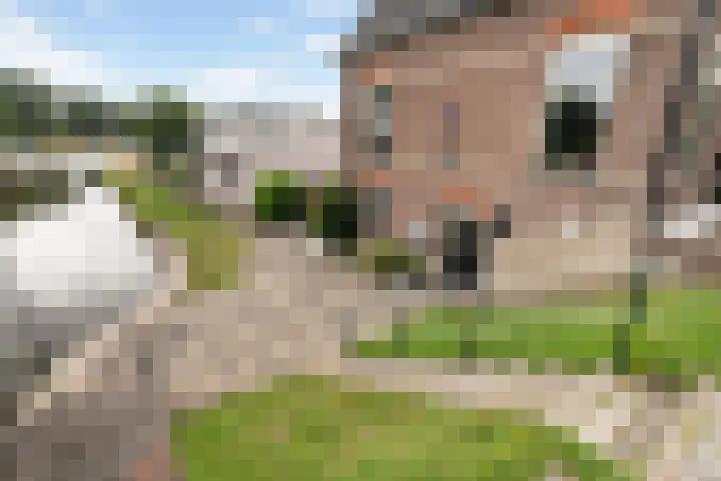 Zuider IJsseldijk 6 Gouda thumbnail 25