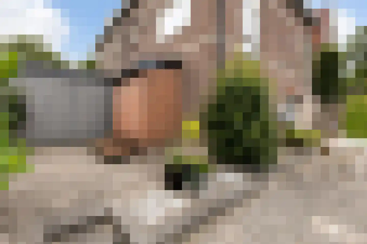 Zuider IJsseldijk 6 Gouda thumbnail 26