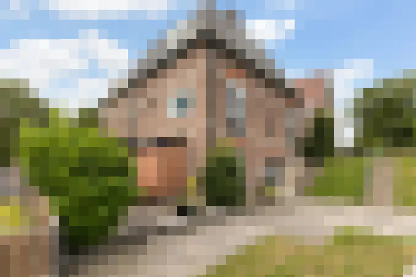 Zuider IJsseldijk 6 Gouda thumbnail 28