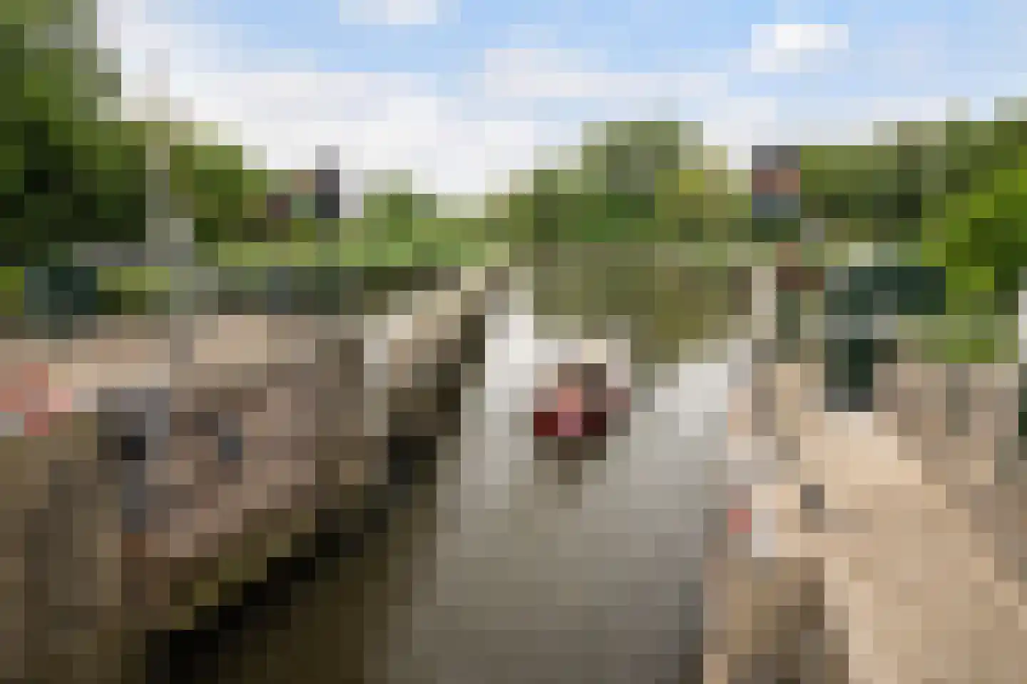 Zuider IJsseldijk 6 Gouda thumbnail 30