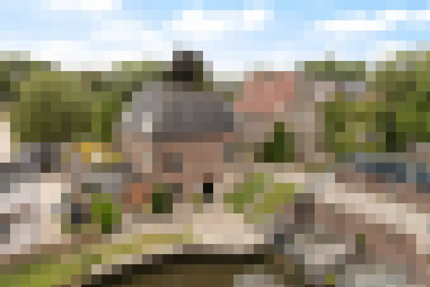 Zuider IJsseldijk 6 Gouda thumbnail 4