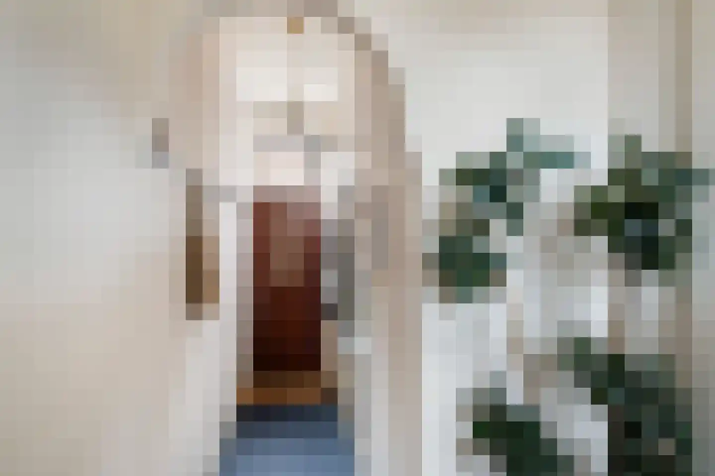 Zuider IJsseldijk 6 Gouda thumbnail 6