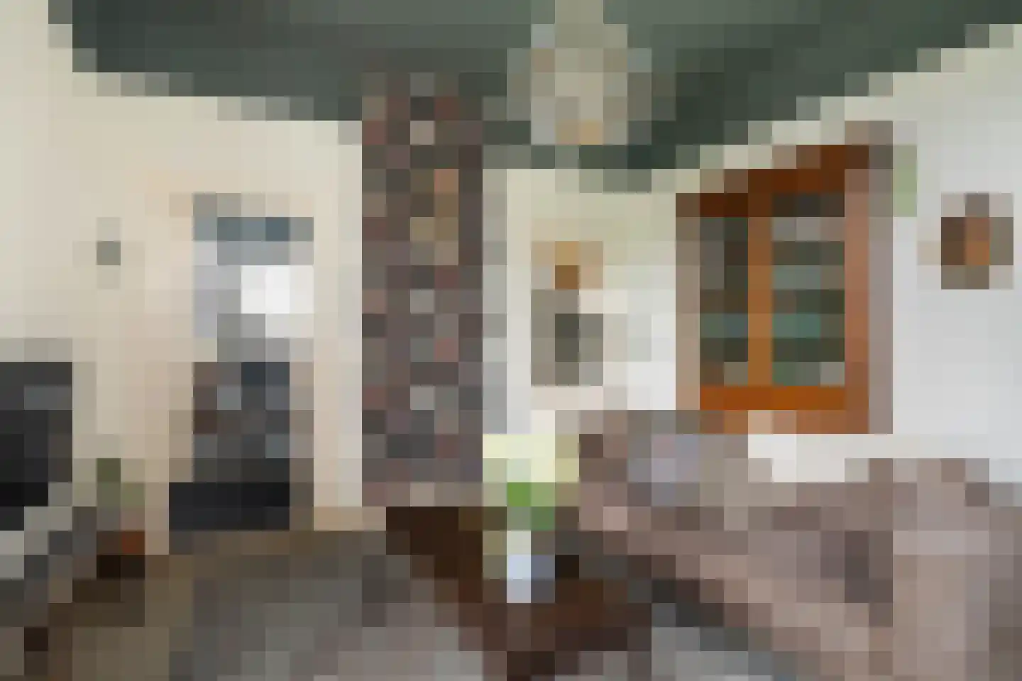 Zuider IJsseldijk 6 Gouda thumbnail 8