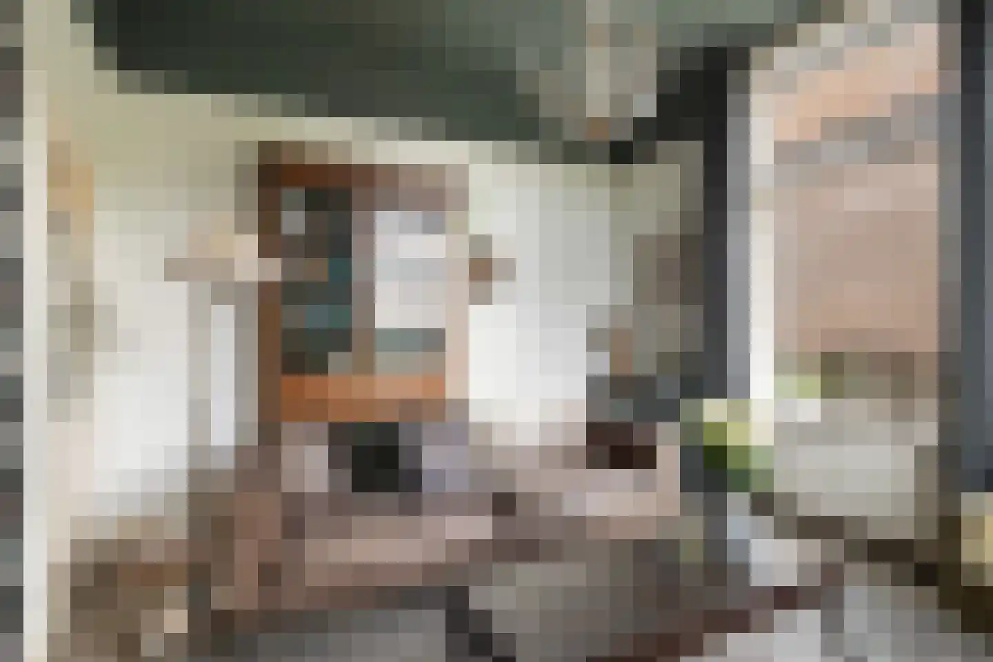 Zuider IJsseldijk 6 Gouda thumbnail 9