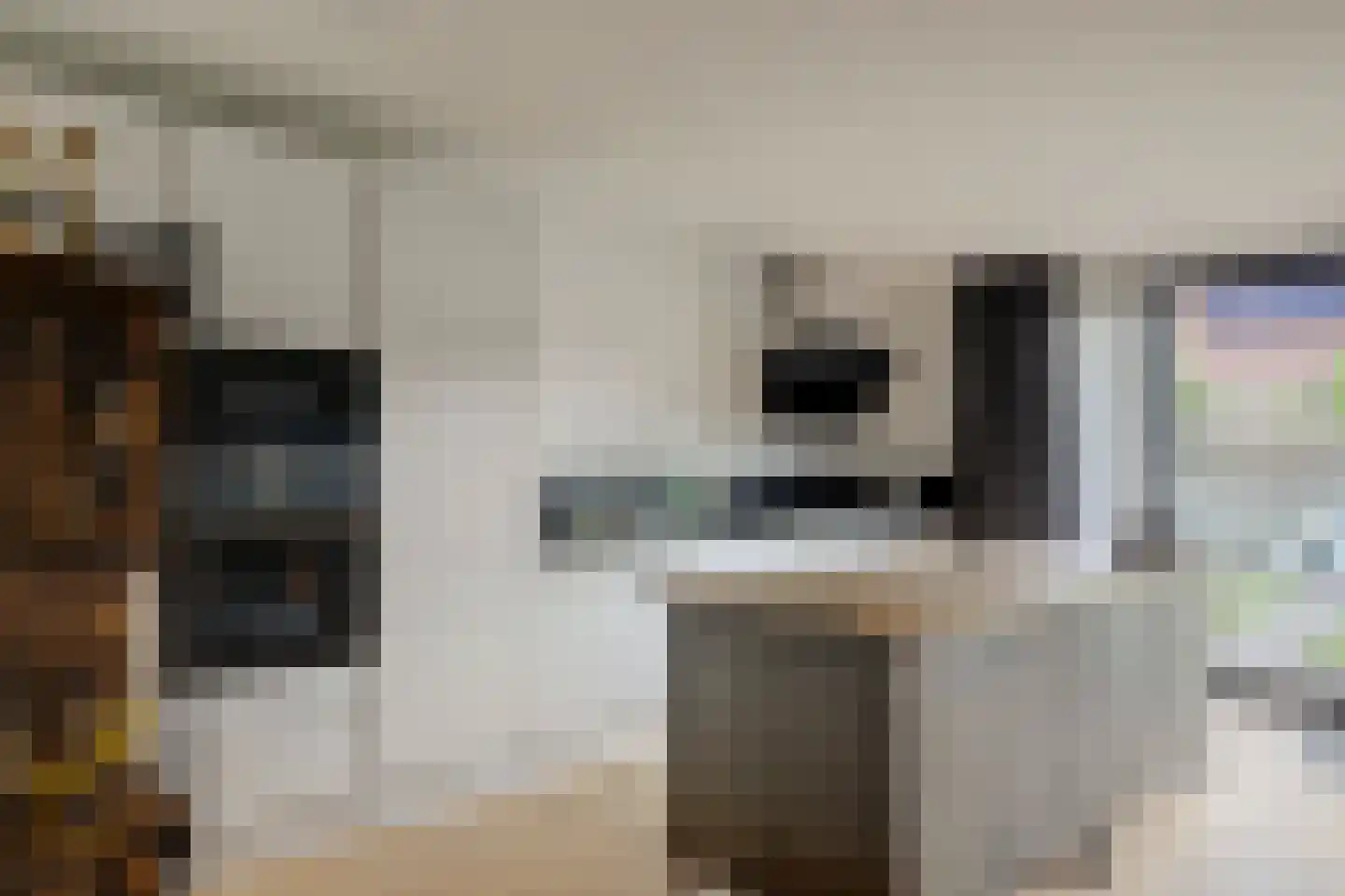 Zuider Kadijk 4 Enkhuizen thumbnail 12