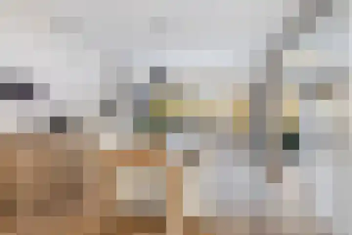 Zuider Kerkedijk 138 Rotterdam thumbnail 10