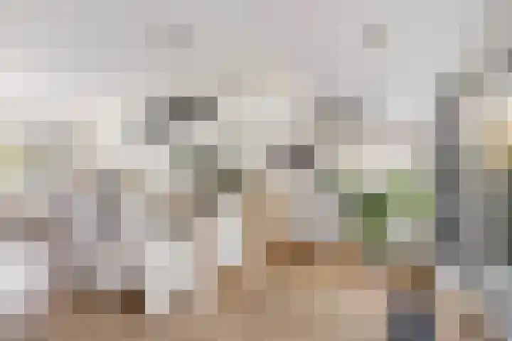 Zuider Kerkedijk 138 Rotterdam thumbnail 15