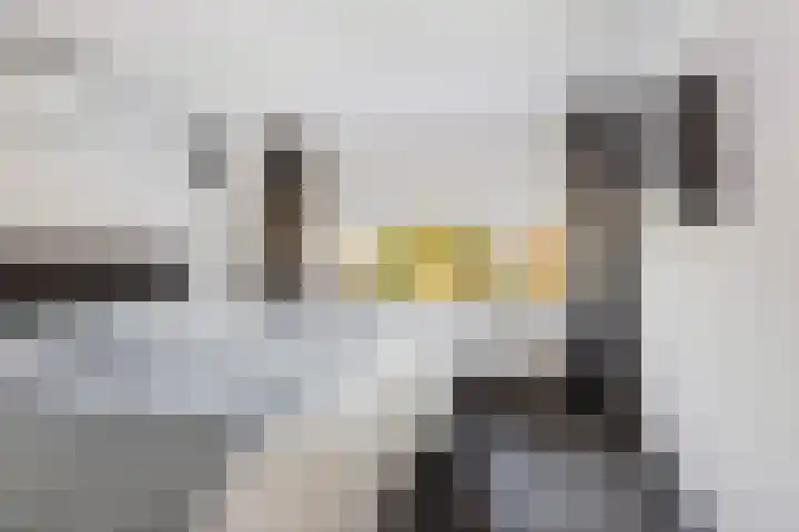 Zuider Kerkedijk 138 Rotterdam thumbnail 23