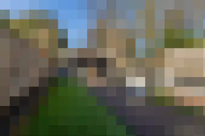 Zuider Kerkedijk 138 Rotterdam thumbnail 43